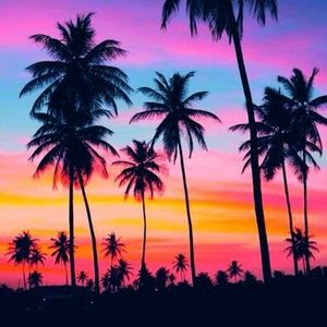 Meet your Posher, Adriana